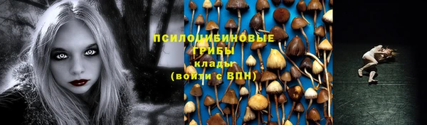 соль курить ск Вяземский
