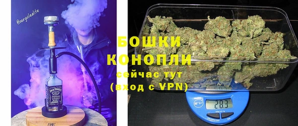 мдпв Володарск